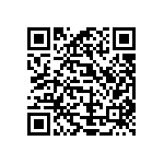 Y578710K5000B0L QRCode