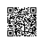 YB25RKG01-5D-JD QRCode