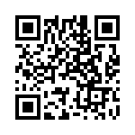 YEV09T06-0G QRCode