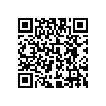 009175002702996 QRCode