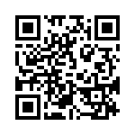 0196001307 QRCode