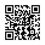 0294100-T QRCode