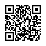 0295060-H QRCode