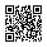 0295080-H QRCode