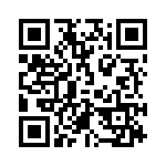 0295100-T QRCode