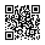 031-207 QRCode