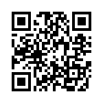 0310211300 QRCode