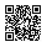 0313-375H QRCode