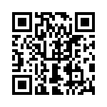 0382100313 QRCode