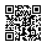 0387207804 QRCode