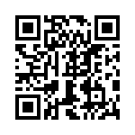 0387291305 QRCode