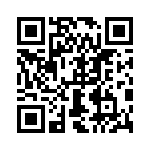 0387304905 QRCode