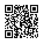 0391001306 QRCode