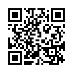 0391001308 QRCode