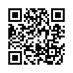 04025C102KAQ2A QRCode