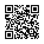 04025C102KAT4A QRCode