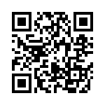 04025C391MAT2A QRCode