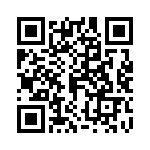 04025C392KAT2A QRCode