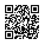 0402L010SLYR QRCode