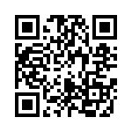 0410111300 QRCode