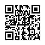 041511002924 QRCode