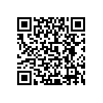 0505J100P500BQT QRCode