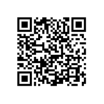 0505Y2502P10BQT QRCode