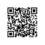 0505Y250P600DQT QRCode