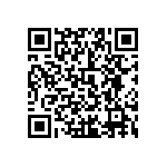 0505Y3002P10DQT QRCode