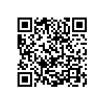 0505Y300P400CQT QRCode