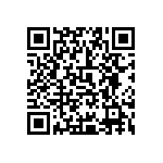 0505Y300P600DQT QRCode