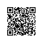 0505Y300P900DQT QRCode