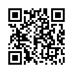 06035C333KAJ2A QRCode