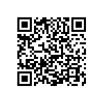 0603Y0502P20BQT QRCode