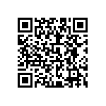 0603Y1000360KQT QRCode