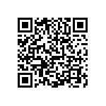 0603Y3006P80BQT QRCode