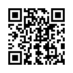 0875991001 QRCode