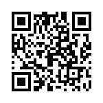 09110006133 QRCode