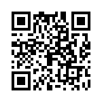 09110006156 QRCode