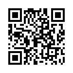 09110006262 QRCode