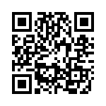 09130653Z QRCode