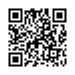 09142060313 QRCode