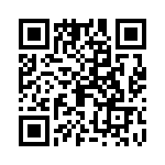 09150006290 QRCode