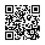 09150013013 QRCode