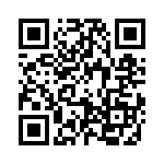 09300101251 QRCode