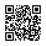 09300161295 QRCode