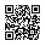 09400165411 QRCode