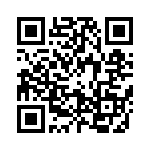 095046309311 QRCode