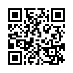 095131009103 QRCode