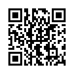 09552567633741 QRCode